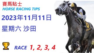 🏆「賽馬貼士」🐴  2023 年11月 11日, 星期日, 沙田🐴    香港賽馬貼士  HONG KONG HORSE RACING TIPS  🐴 RACE   1  2  3  4