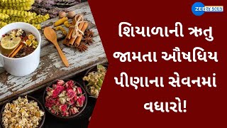 With onset of Winter, health freaks begin consumption of traditional herbal drinks in Navsari