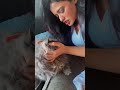 short 🤪 ketika sharma video🥀😘❣️ short video status ketikasharma animallover shorts love