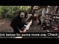 insane ape shooting ak 47