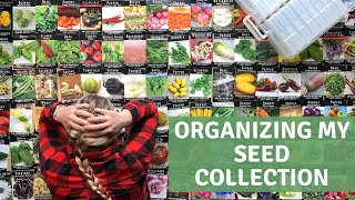 SO MANY SEEDS! Organizing my seed collection | Growing food in small spaces