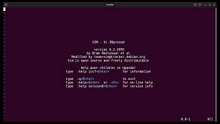 Vim File Explorer