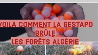 Comment la gastapo provoque les feux des forêts Algerians Dictators since 1962