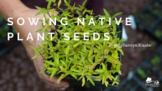 Learn how to sow native plants from seed.