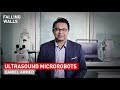 How Bioinspired Ultrasound Microrobots revolutionize Medicine | Daniel Ahmed