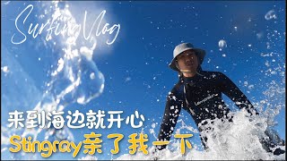 冲浪日记 Surfing Vlog｜来到海边就开心，被Stingray偷偷亲了一下...  Nov 20th 2022