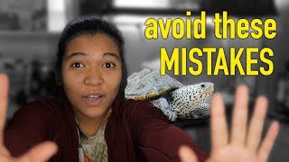 Common Turtle Care MISTAKES and how to avoid them! (before you buy a turtle watch this)
