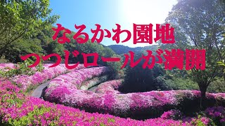 還暦夫婦が甲斐駒ケ岳に登るまで【生駒】なるかわ園地　つつじロール   4K