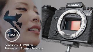 パナソニックLUMIX S5レビュー