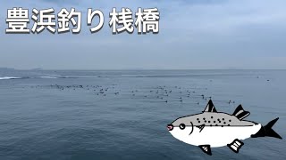 豊浜漁港と豊浜釣り桟橋で釣り🎣