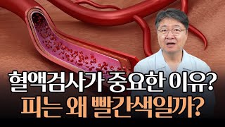 피, 적혈구는 왜 빨간색일까? 색깔로 동맥혈과 정맥혈을 구별할 수 있다?