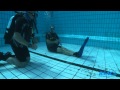 The Duke of Cambridge's scuba dive with BSAC