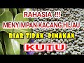 CARA MENYIMPAN KACANG HIJAU BIAR TIDAK DI MAKAN KUTU