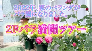 【２Fばら満開】2022年、お家のベランダがバラ園になりました。2階バラ満開ツアー！