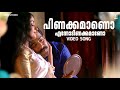 Pinakkamaano Ennodinakkamano Video Song | Ananthabhadram Movie Song | Prithviraj | Kavya Madhavan