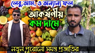 অত্যন্ত কম দামে পাবেন নতুন থেকে পুরনো সমস্ত প্রজাতির লেবু আম ও অন্যান্য ফলের গাছ |