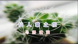 仙人掌之花 粵語版【日語原曲:仙人掌之花/財津和夫】