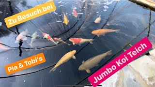 Pia und Tobi‘s 30000 Liter Jumbo Koi Teich.