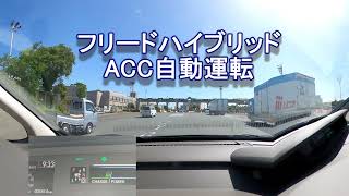 フリードハイブリッド 関越道ドライブ　ACCで疲れ知らず