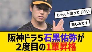 阪神ドラ５石黒佑弥が２度目の1軍昇格　【ネットの反応】【反応集】