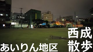 【大阪】夜の西成散歩⑤　あいりん地区～三角公園～新今宮   Osaka Nishinari walk at night ''Airin district''