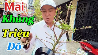 Nóng Má Tư Quốc Thanh Mua Mai Khủng Cú NSUT Vũ Linh Nói hết chuyện này