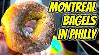 REAL DEAL Bagels in Philadelphia! (Spread Bagelry)