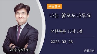 2023.03.26. 설교 l 나는 참포도나무요 l 김지수 목사 l 반월교회 주일설교