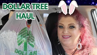 DOLLAR TREE HAUL | MUST SEE | February 25, 2025