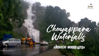 Cheeyappara Waterfalls, Idukki