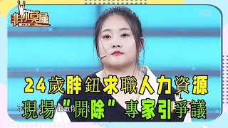 24歲胖鈕求職人力資源，現場“開除”專家，能力引爭議 #非妳莫屬 #塗磊 #求職