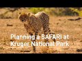 How To Plan A Value-for-money Safari at Kruger National Park, South Africa