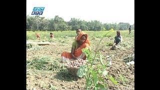 প্রথম প্রান্তিকে ২৯ কোটি ডলারের কৃষিপণ্য রপ্তানি | ETV News