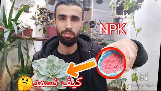 كيفية تسميد النبات بالطريقة الصحيحة 🤔(NPK)