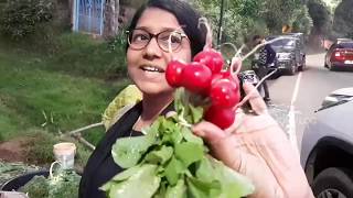 One Day Fun At Ooty | One day trip| budget hotel for families | Udhakaimandalam / VLOG 98