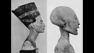 Тайны  мумии царицы Нефертити