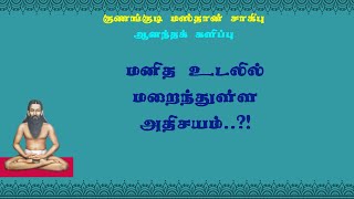 குணங்குடியார்.26- உருவத்தால் மட்டுமே மனிதனா?