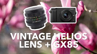 Using a vintage Helios lens on a Micro Four Thirds camera | Lumix GX85