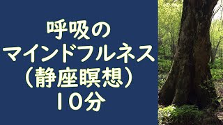 呼吸のマインドフルネス　静座瞑想　マインドフルネス８週間プログラム