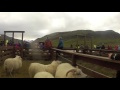 réttir 2015 sheep herding iceland 2015