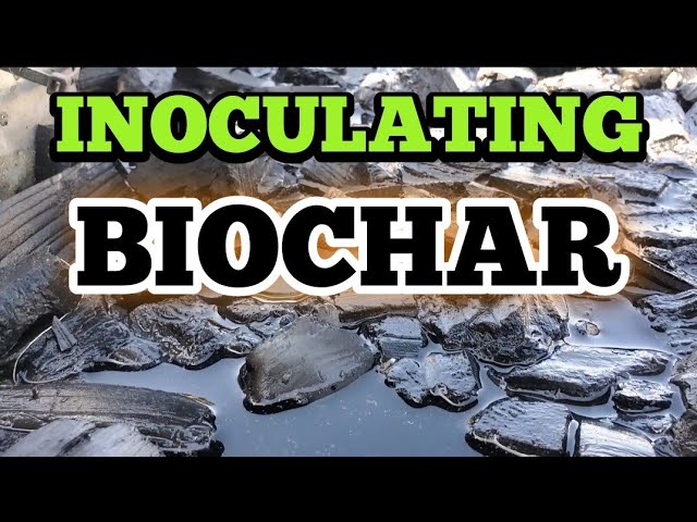 Inoculating Biochar The Lazy Person S Method Of Inoculating Biochar