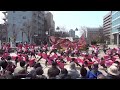 浜よさ2015 　岐阜聖徳学園大学　柳　（東街区）