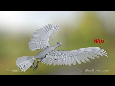 Eagle Wing Yeti Feathers Maya Youtube