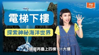 【#未來小學堂】一層一層潛進大海！#海洋 生物也有生活階層之分｜未來親子TV