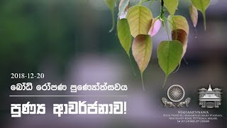 උතුම් ‌බෝධි ‌රෝපණ පින්කමකට එක් වී අප ‌බොහෝ පින් රැස් කළෙමු.