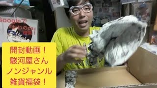 開封動画！駿河屋ノンジャンル雑貨福袋(その1)