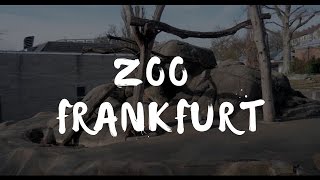 Zoo Frankfurt