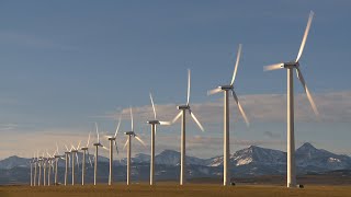 Are Renewables the Future for the Utilities Sector?