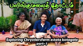 கொட்டகலை பளிங்குமலையத் தோட்டம் | Exploring Chrystlersfarm estate kotagala | Srilanka | Part 01