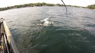 Long lake Musky Fisher lake Pike